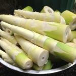 Bamboo Shoot (Dried)