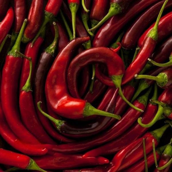 African Birdseye Chili