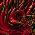 African Birdseye Chili